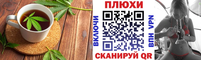 Купить где  Аргун  Canna-Cookies конопля 
