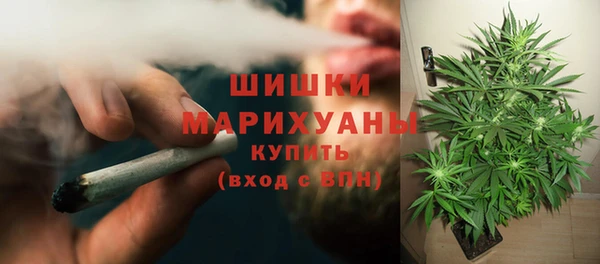 прущая мука Богданович