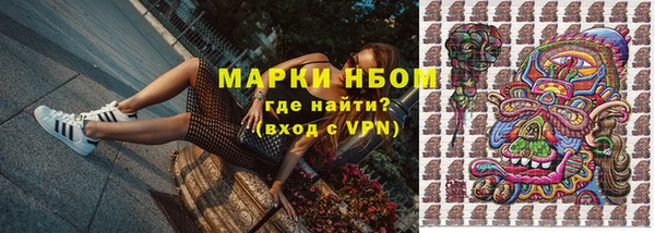 молекула духа Богородицк