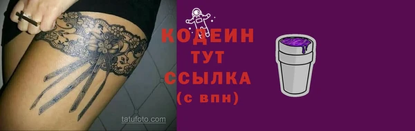молекула духа Богородицк