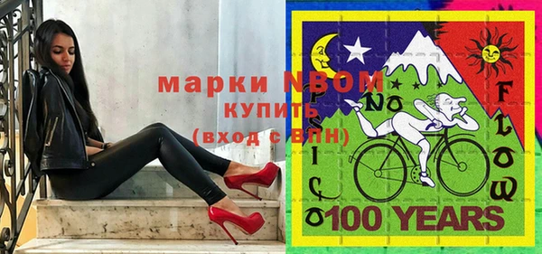 молекула духа Богородицк