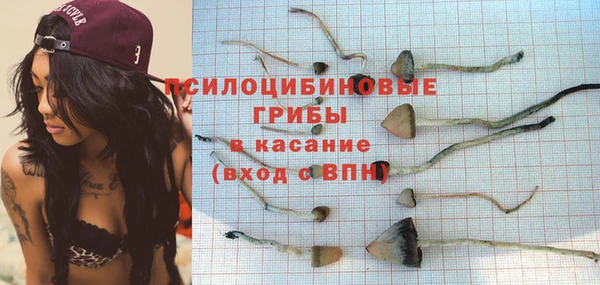 прущая мука Богданович