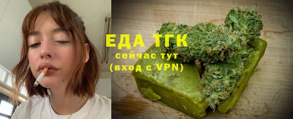 молекула духа Богородицк