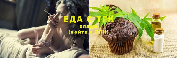молекула духа Богородицк